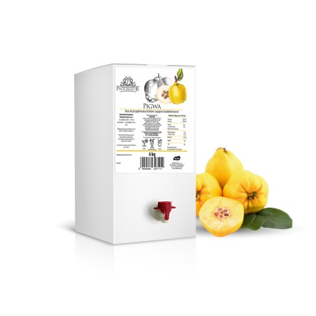 Baza do drinków i bezalkoholowych koktajli PIGWA PROFIMATOR box 6kg