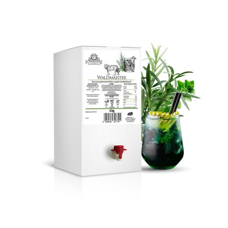 Baza do drinków i bezalkoholowych koktajli WALDMAISTER box 6kg