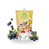 Pulpa (puree) 100% z czarnych porzeczek 1kg