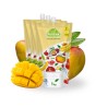 Pulpa (puree) 100% z mango 3x1kg