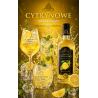 Syrop barmański baza do drinków koncentrat Profimator LIMONCE 250 ml