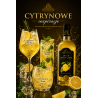 Syrop barmański baza do drinków koncentrat Profimator LIMONCE 250 ml