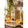 Lemoniada mango-cytryna z kranikiem PURENA 3 L