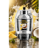Syrop barmański baza do drinków koncentrat Profimator PINA COLADA 250 ml