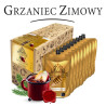 Bezalkoholowy koncentrat GRZANIEC ZIMOWY BOX 9x300ml PROFIMATOR
