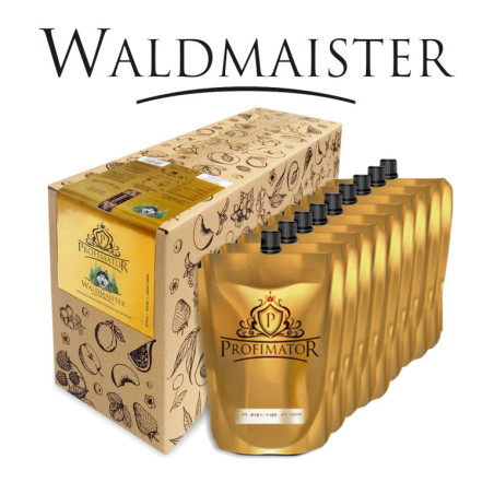 Bezalkoholowy koncentrat WALDMAISTER box 9x300ml PROFIMATOR
