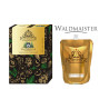 Bezalkoholowy koncentrat WALDMAISTER box 9x300ml PROFIMATOR