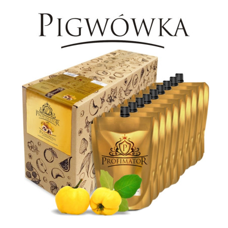 Bezalkoholowy koncentrat PIGWA box 9x300 ml PROFIMATOR