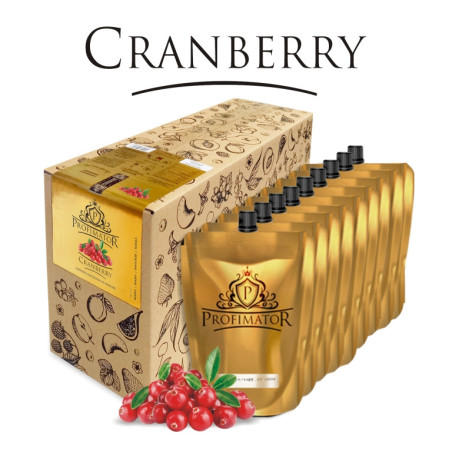 Bezalkoholowy koncentrat ŻURAWINA box 9x300ml PROFIMATOR