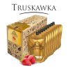 Bezalkoholowy koncentrat TRUSKAWKA box 9x300 ml PROFIMATOR