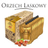 Bezalkoholowy koncentrat ORZECH LASKOWY box 9x300ml PROFIMATOR