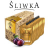 Bezalkoholowy koncentrat ŚLIWKA box 9x300 ml PROFIMATOR