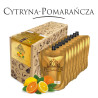 Bezalkoholowy koncentrat CYTRYNA-POMARAŃCZA box 9x300ml PROFIMATOR