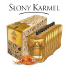 Bezalkoholowy koncentrat SŁONY KARMEL box 9x300 ml PROFIMATOR