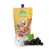 Pulpa (puree) 100% z czarnych porzeczek 3x1kg